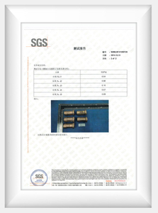  PRUEBA SGS 